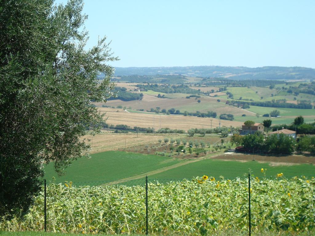 Podere Fontegallo Castiglione del Lago Dış mekan fotoğraf