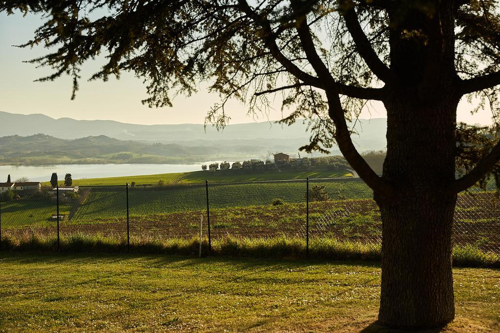 Podere Fontegallo Castiglione del Lago Dış mekan fotoğraf