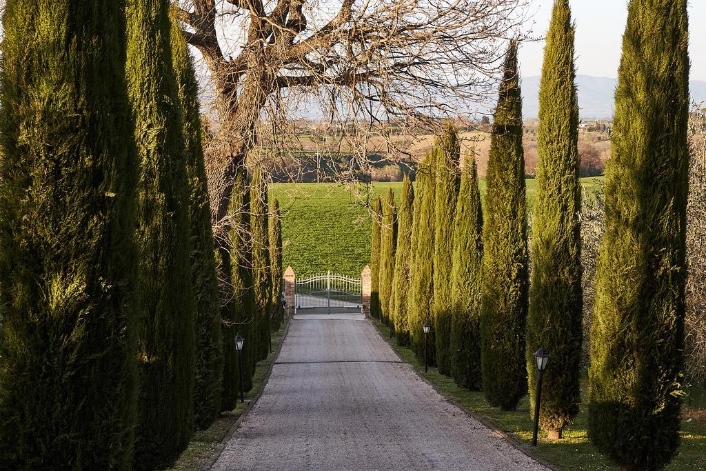 Podere Fontegallo Castiglione del Lago Dış mekan fotoğraf