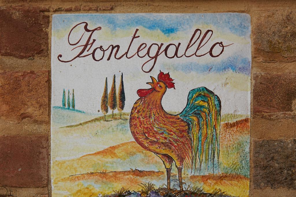 Podere Fontegallo Castiglione del Lago Dış mekan fotoğraf