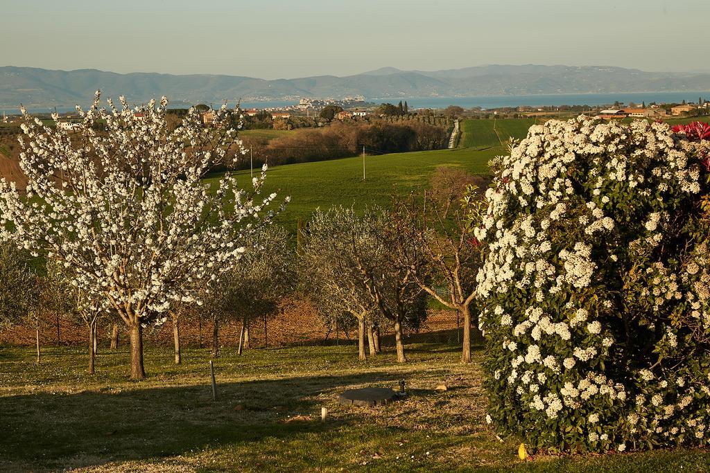 Podere Fontegallo Castiglione del Lago Dış mekan fotoğraf
