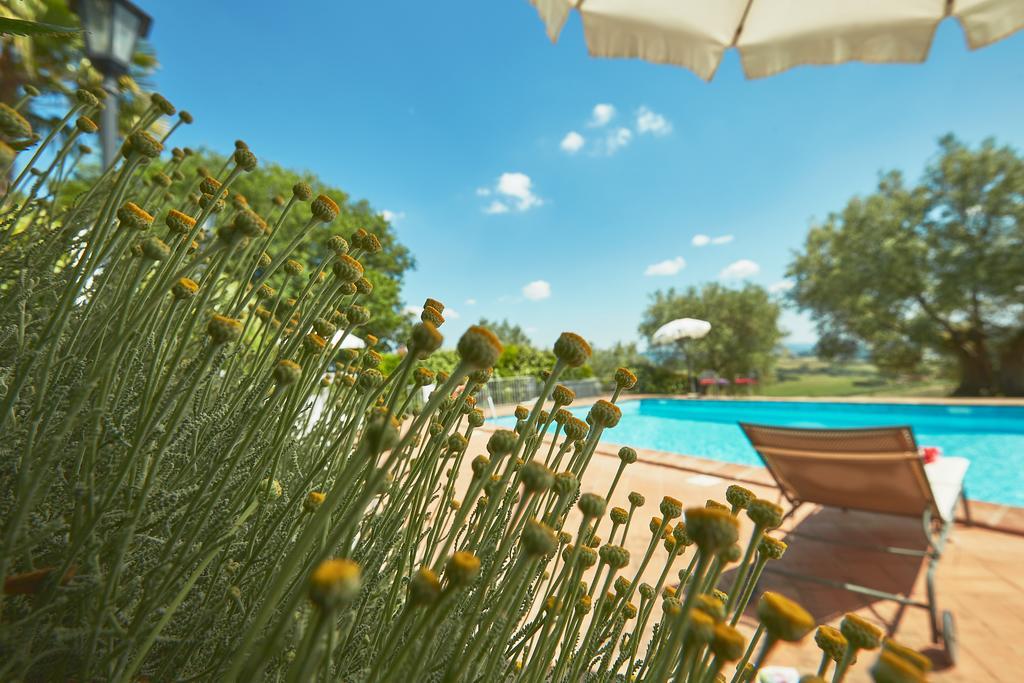 Podere Fontegallo Castiglione del Lago Dış mekan fotoğraf
