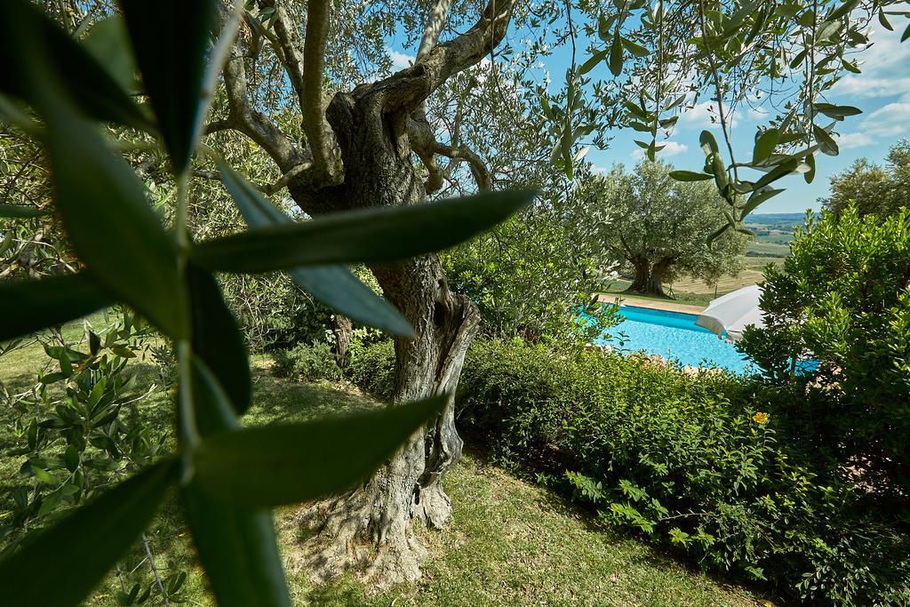 Podere Fontegallo Castiglione del Lago Dış mekan fotoğraf