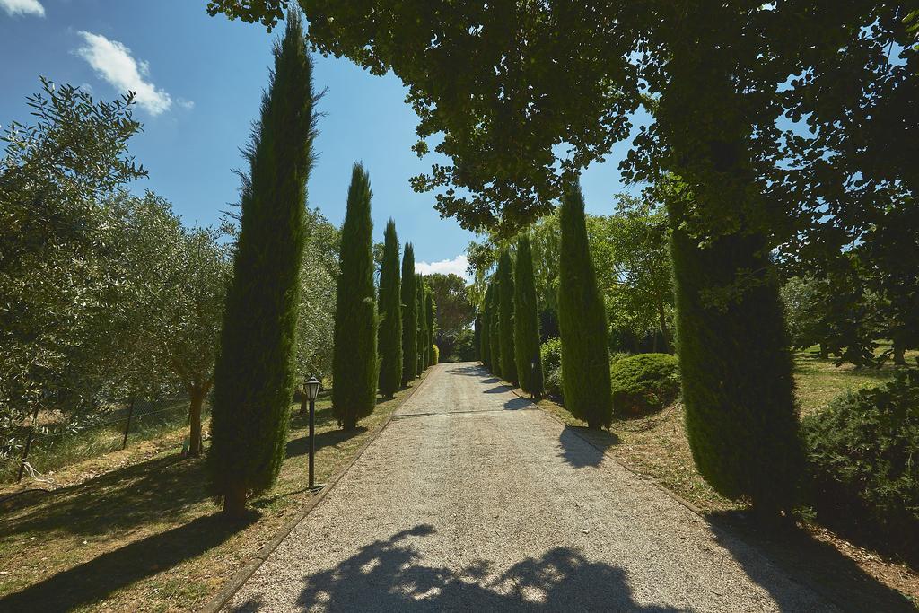 Podere Fontegallo Castiglione del Lago Dış mekan fotoğraf