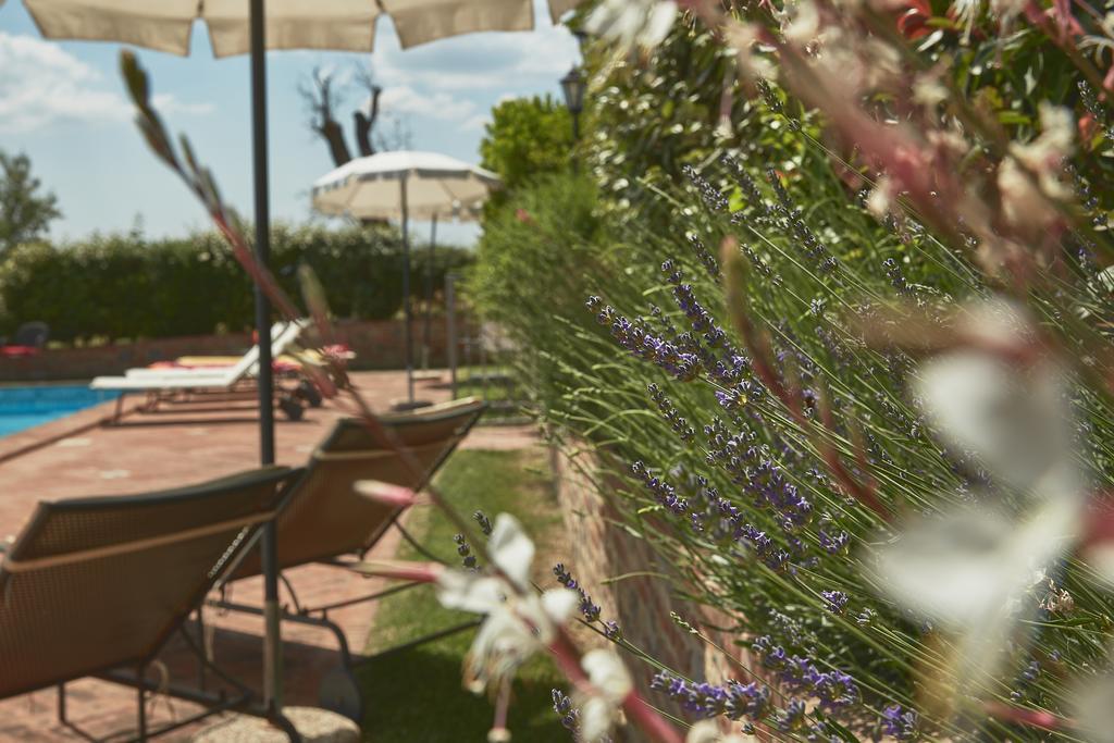 Podere Fontegallo Castiglione del Lago Dış mekan fotoğraf